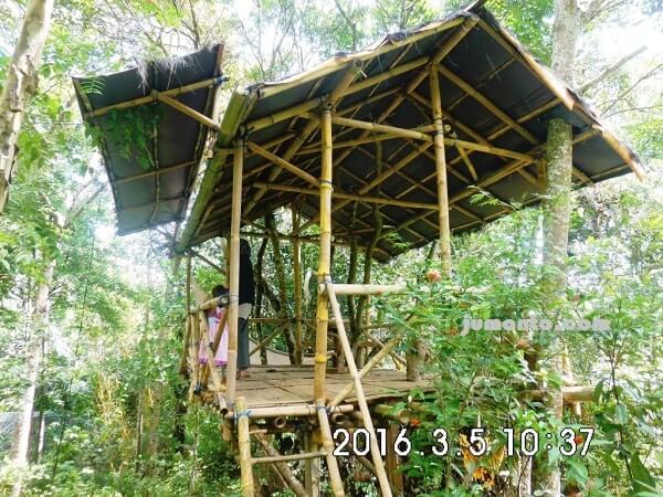 foto taman kupu kupu kemiling lampung dengan rumah pohon bambunya