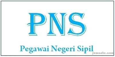 menjadi profesi PNS